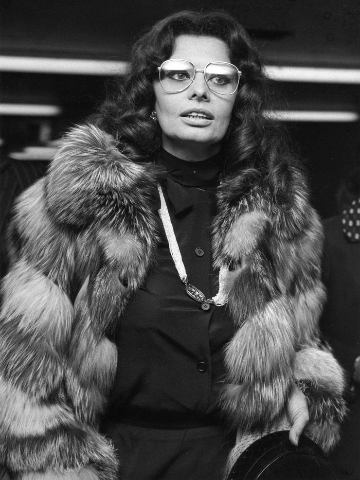 Sophia Loren Sophia Loren