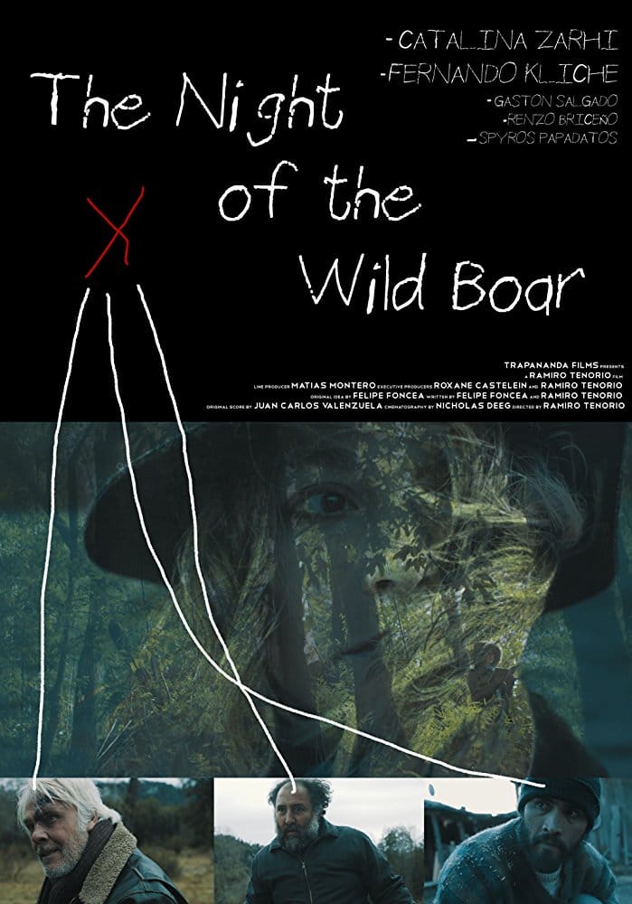 The Night of the Wild Boar