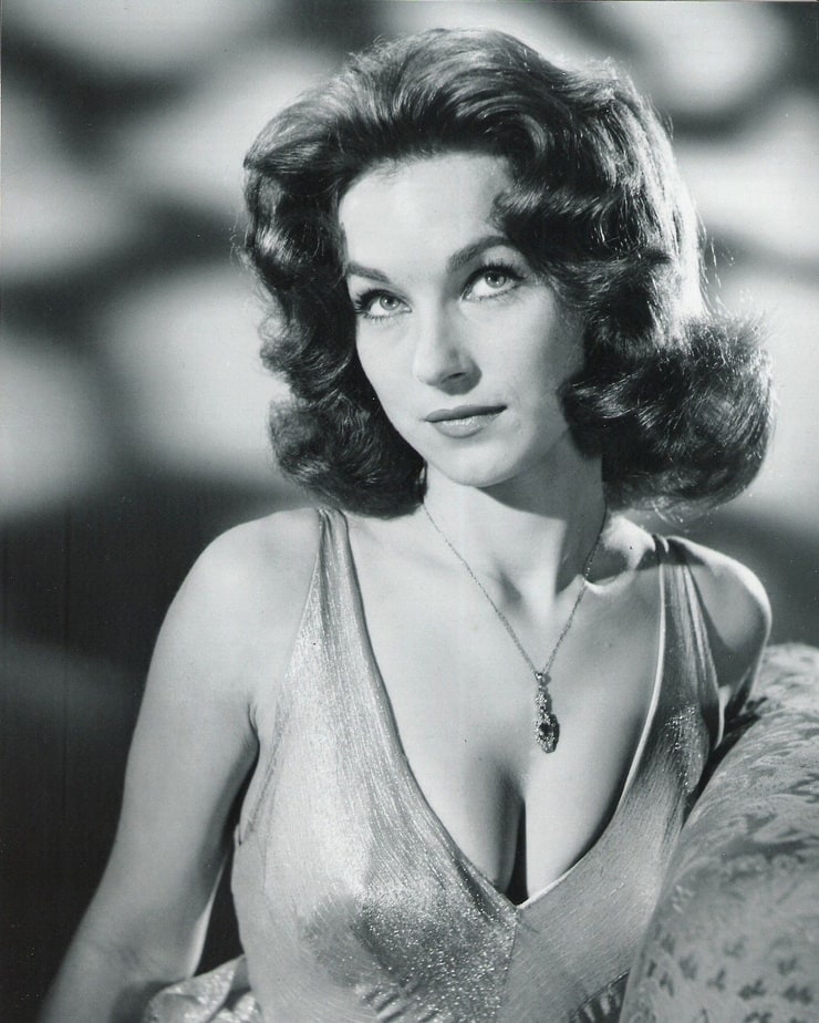 Shirley Anne Field