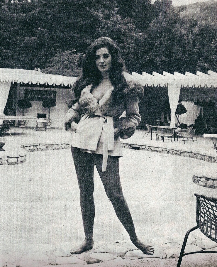Edy Williams Edy Williams