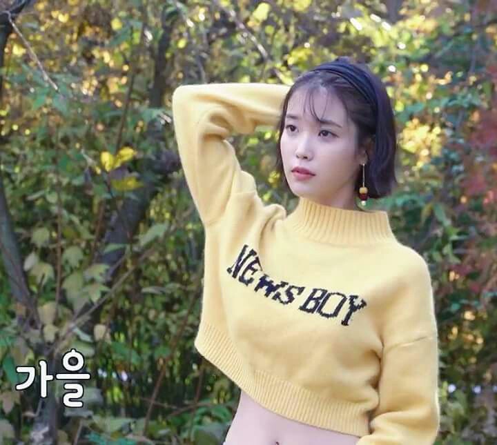IU IU