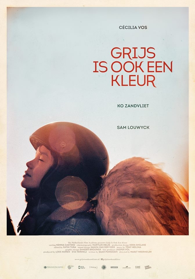 Grijs is ook een kleur Grijs is ook een kleur