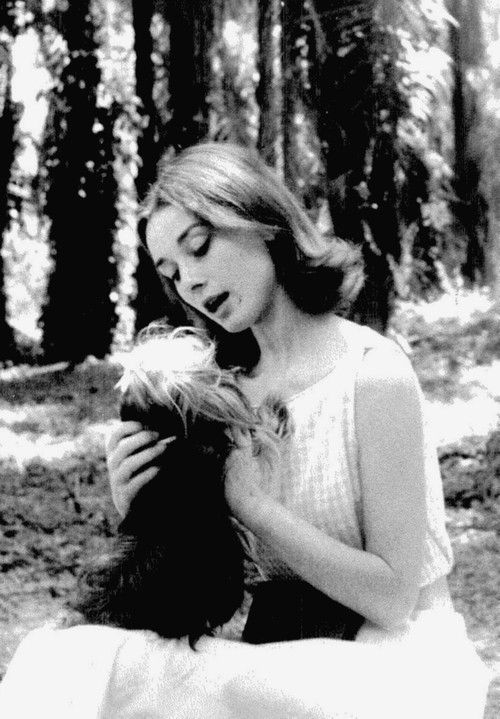 Audrey Hepburn