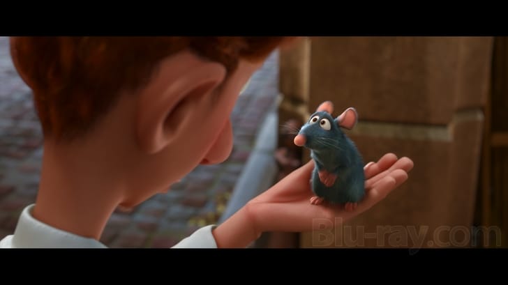 Ratatouille 