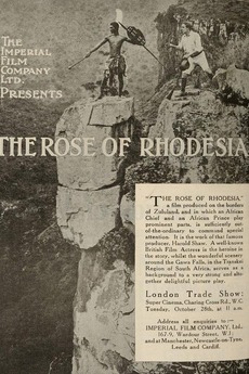 The Rose of Rhodesia
