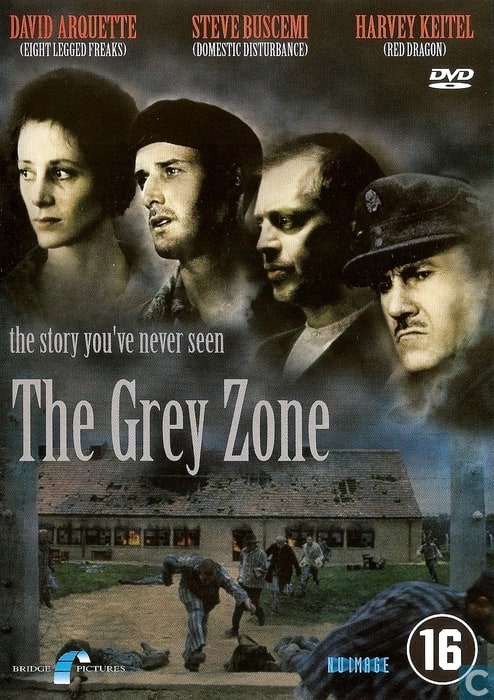 The Grey Zone Picture