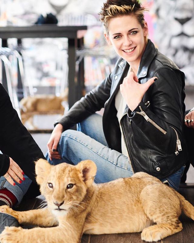 Kristen Stewart Kristen Stewart