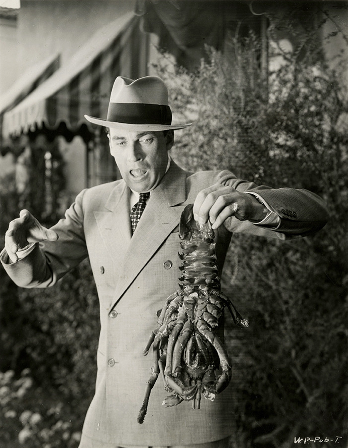 Walter Pidgeon
