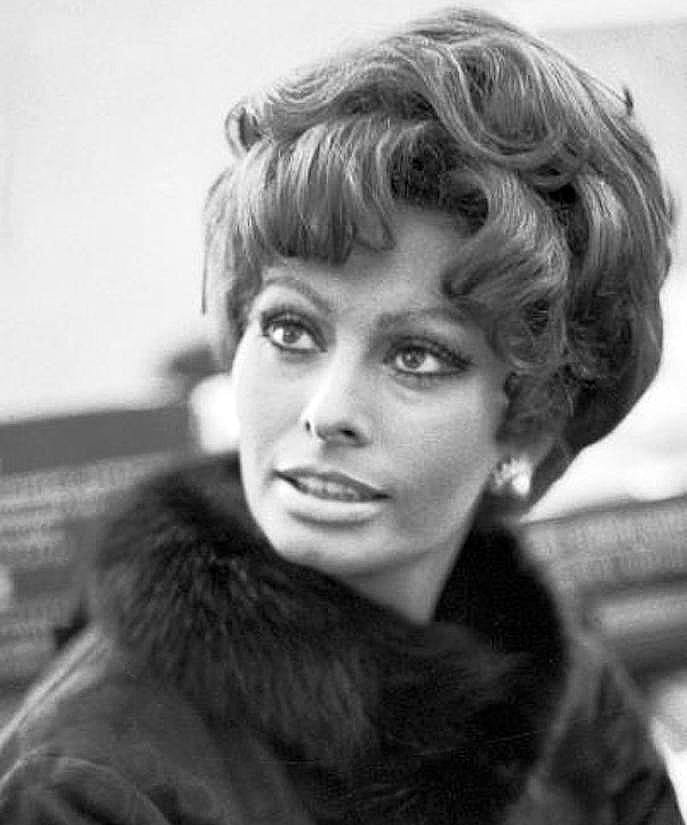 Sophia Loren