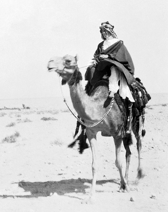 T.E. Lawrence