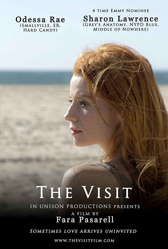 The Visit                                  (2012)