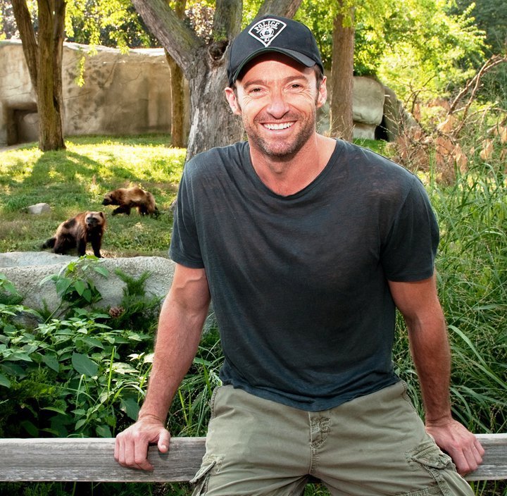 Hugh Jackman