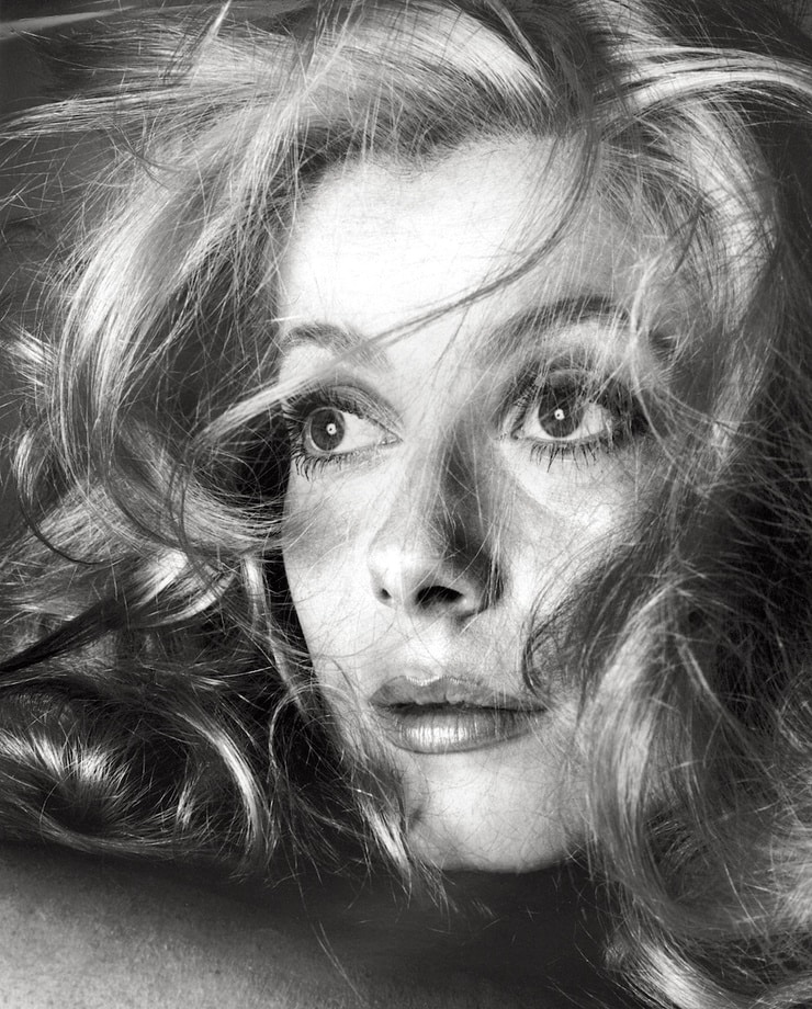 Picture Of Catherine Deneuve