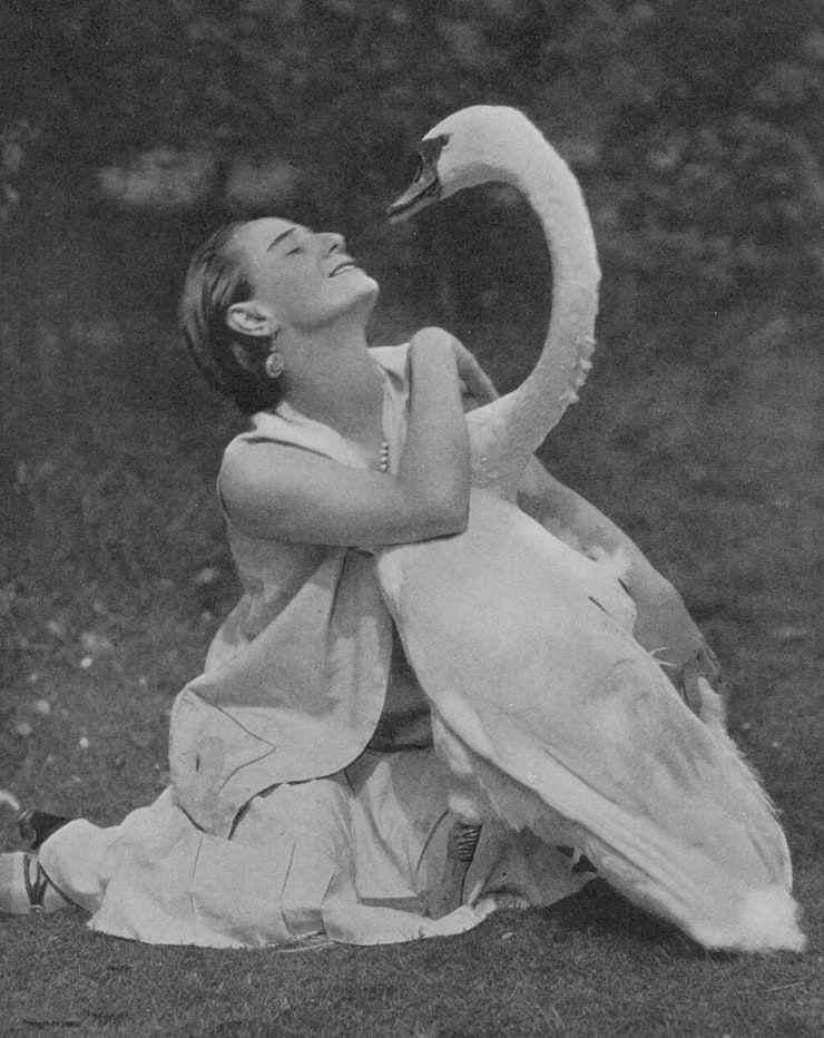 Анна павлова фото с лебедем