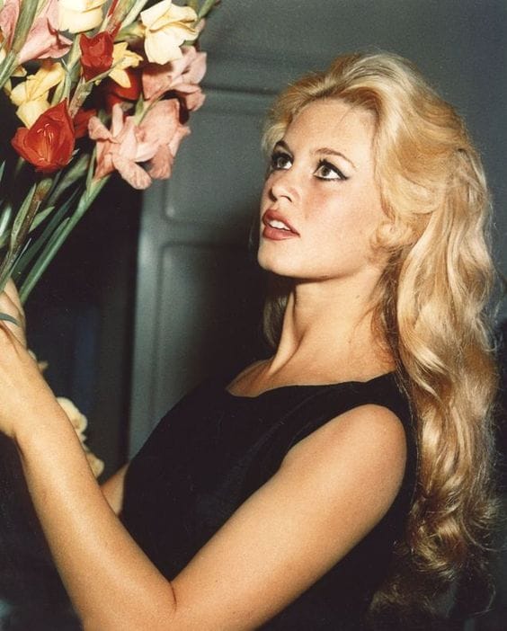 Brigitte Bardot