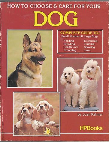 How to Choose & Care for Your Dog