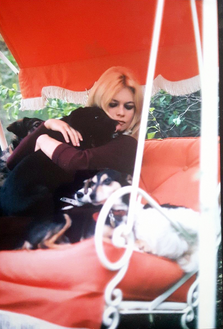 Brigitte Bardot