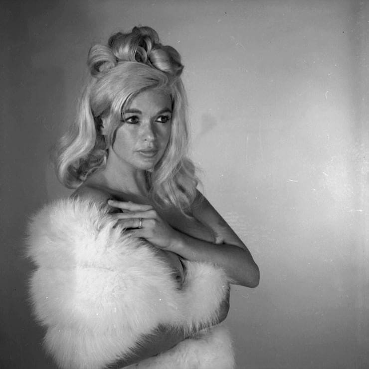 Jayne Mansfield Jayne Mansfield