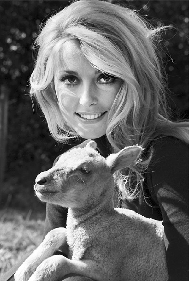 Sharon Tate