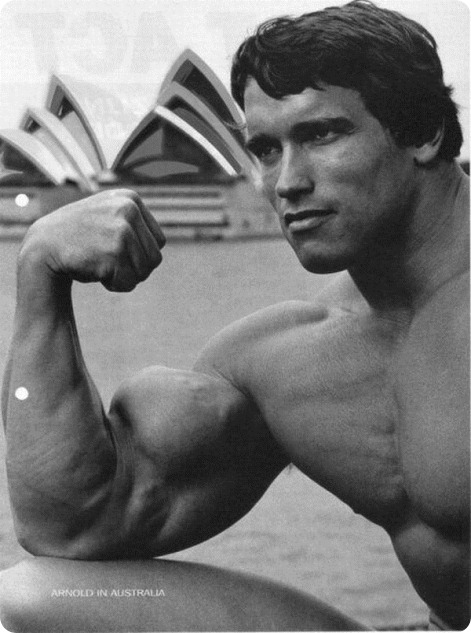Arnold Schwarzenegger Arnold Schwarzenegger