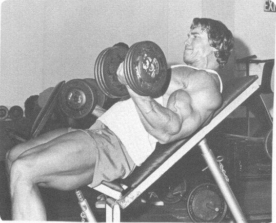 Arnold Schwarzenegger Arnold Schwarzenegger