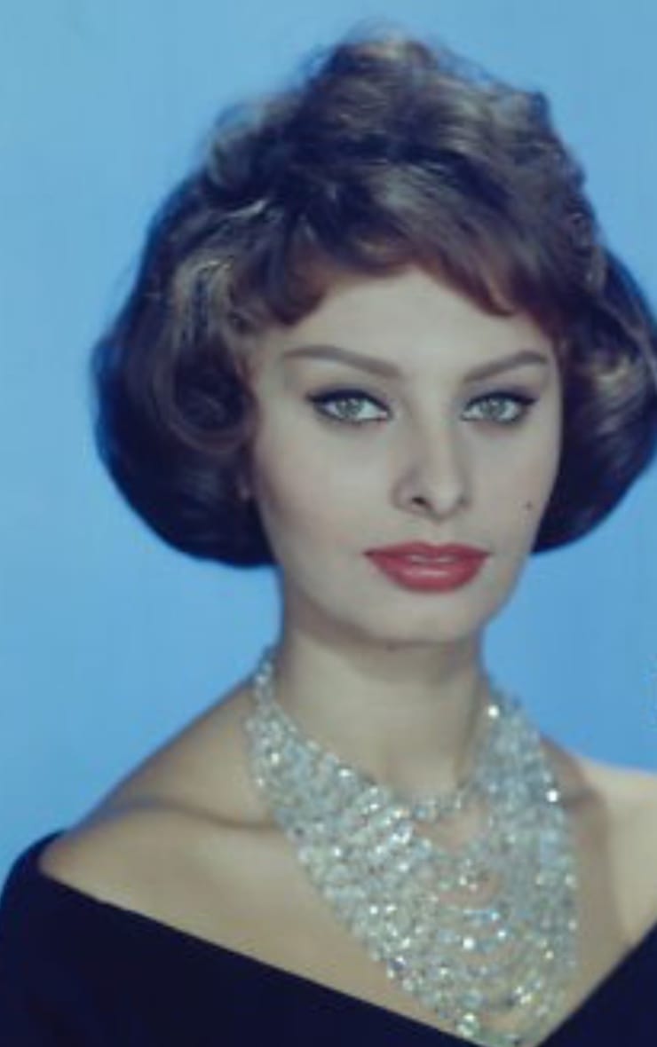 Picture of Sophia Loren