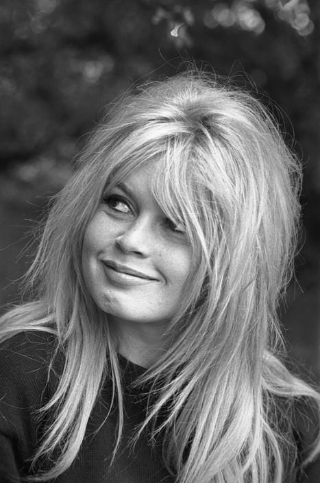 Brigitte Bardot Brigitte Bardot