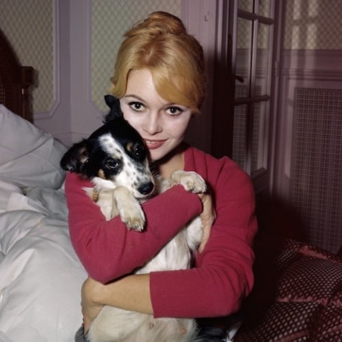 Brigitte Bardot