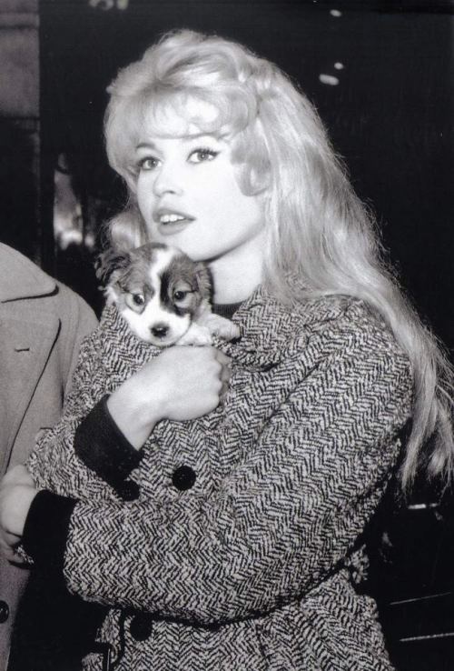 Brigitte Bardot