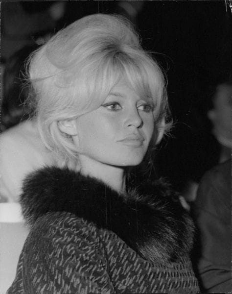 Picture of Brigitte Bardot