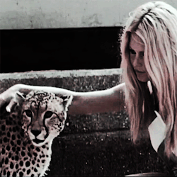 Brigitte Bardot Brigitte Bardot