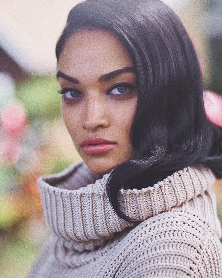 Shanina Shaik