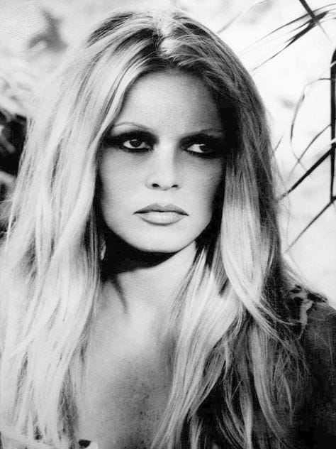 Picture of Brigitte Bardot