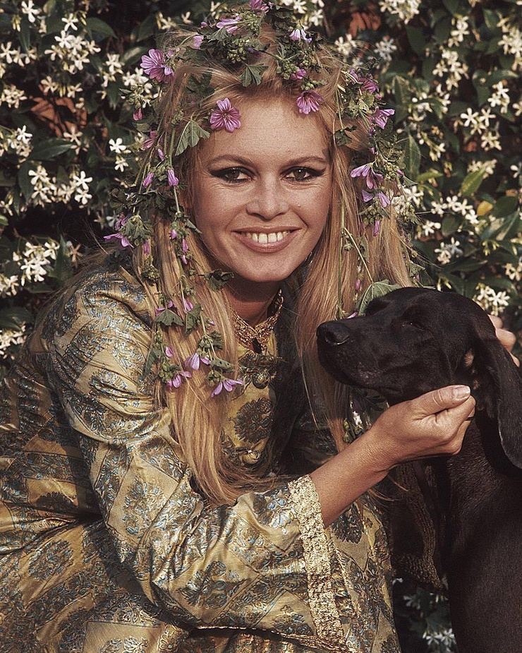 Brigitte Bardot Brigitte Bardot
