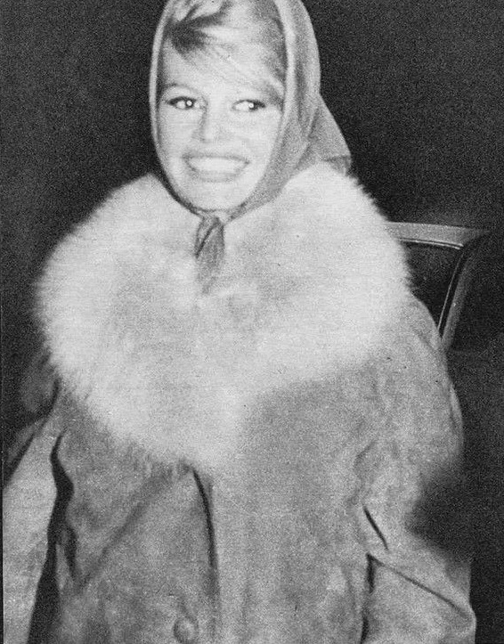 Brigitte Bardot