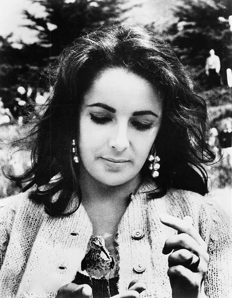 Elizabeth Taylor