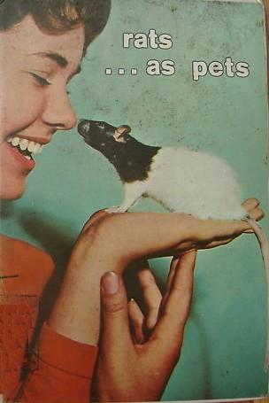 Rats as Pets