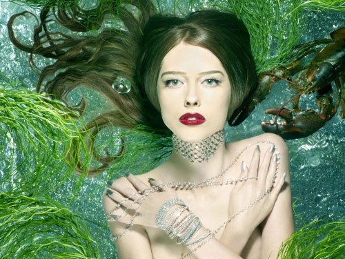 Ann Ward Ann Ward