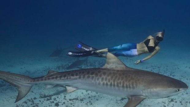 Ocean Ramsey