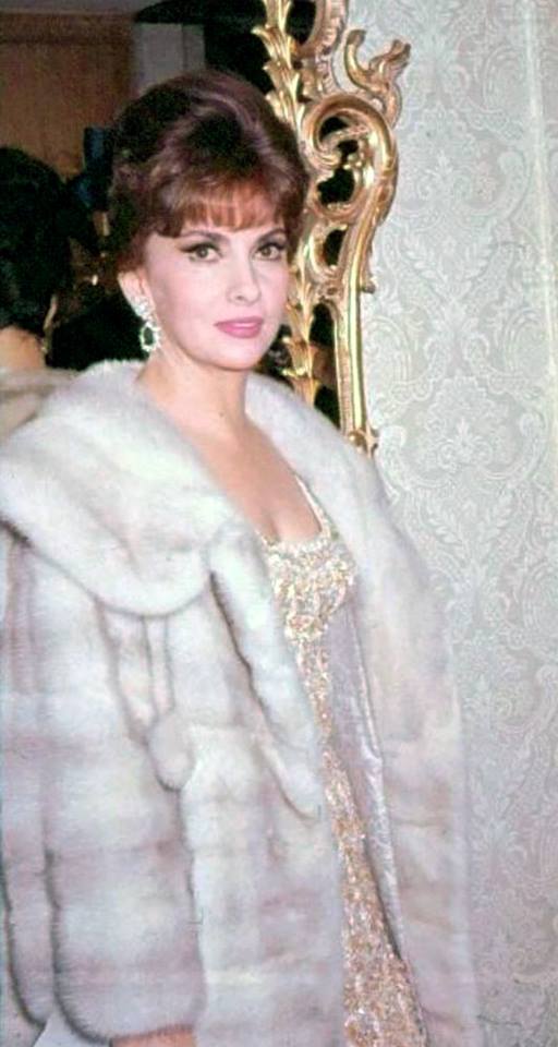 Gina Lollobrigida Gina Lollobrigida