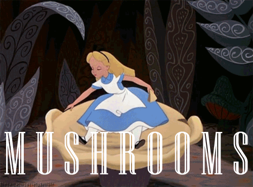 Alice in Wonderland Alice in Wonderland