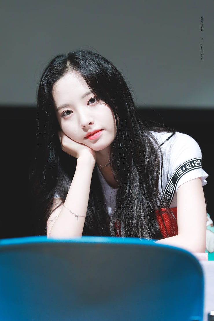 Bona