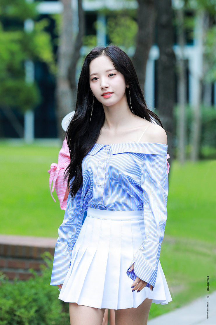 Bona Bona
