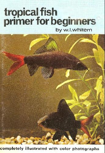 Tropical fish primer for beginners
