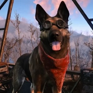 Dogmeat (Fallout 4)