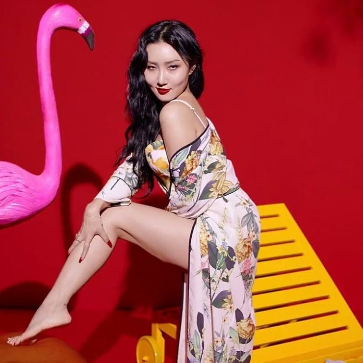 Love me body hwasa. MAMAMOO Hwasa. Хваса айдол. Hwasa MAMAMOO hot. Хваса 2022.