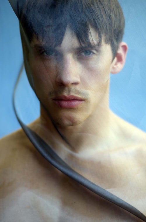 Picture of ZEB RINGLE