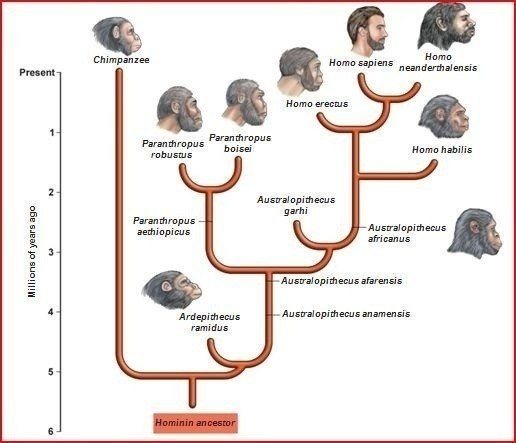 Charles Darwin