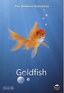 Goldfish DVD
