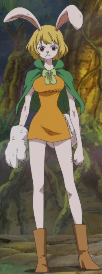 Carrot